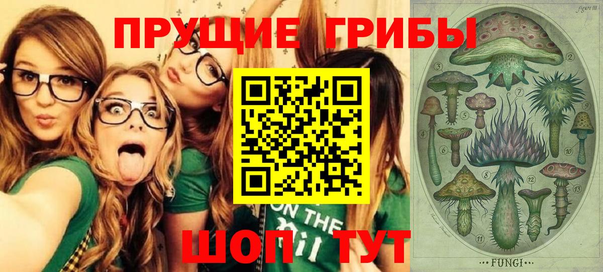 Псилоцибиновые грибы MAGIC MUSHROOMS  Вход с VPN  Асбест 