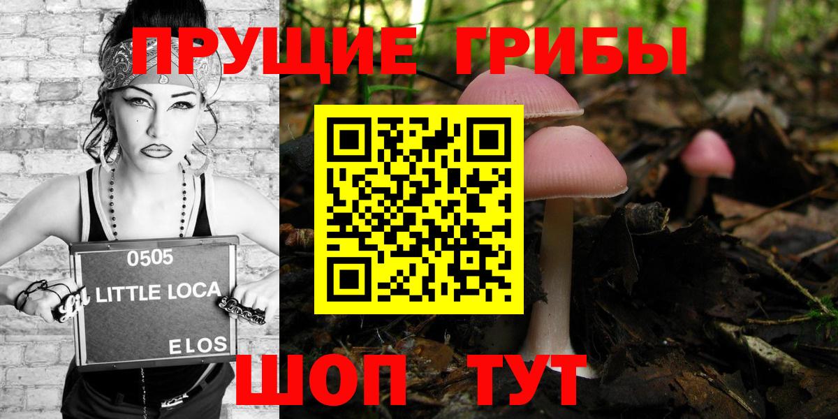 Галлюциногенные грибы Psilocybe Асбест